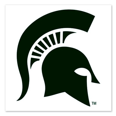 Michigan State Spartans Temporary Tattoo - 4 Pack