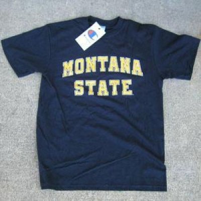 Montana State T-shirt By Champion, Arched Print, Navy