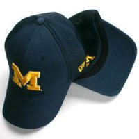 Michigan New Era Aflex Hat