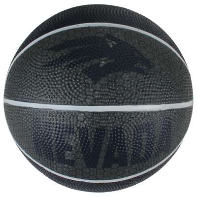 Nevada Wolfpack Mini Rubber Basketball