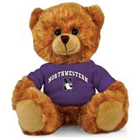 Northwestern Wildcats Stuffed Bear