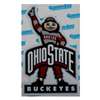 Ohio State Buckeyes Large Gameday Magnet - 9" x 5.5"