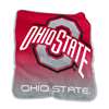 Ohio State Buckeyes Raschel Throw Blanket - Fade