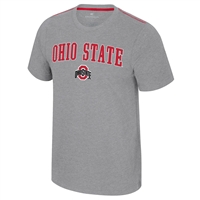 Ohio State Buckeyes Colosseum Carmy T-Shirt - Grey