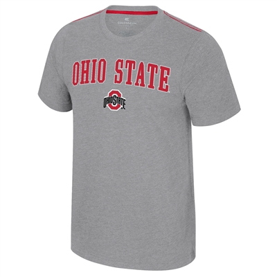 Ohio State Buckeyes Colosseum Carmy T-Shirt - Grey