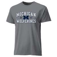 Michigan Wolverines Cotton Heritage T-Shirt - Grey