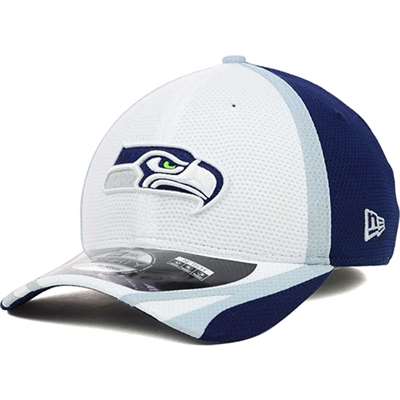 Seattle Seahawks New Era NFL 2014 39Thirty Training Camp Hat