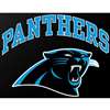 Carolina Panthers Full Color Die Cut Transfer Decal - 6" x 6"