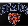 Chicago Bears Full Color Die Cut Transfer Decal - 6" x 6"