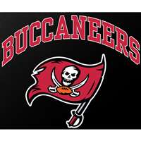Tampa Bay Buccaneers Full Color Die Cut Transfer Decal - 6" x 6"