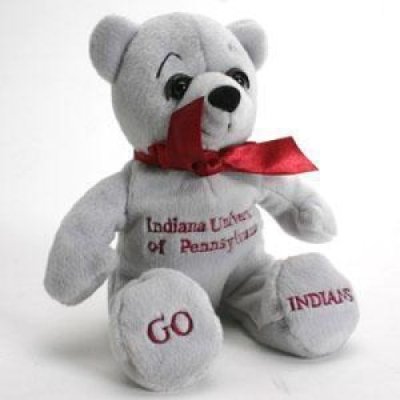 Indiana Of Pennsylvania Boy Bear By Campus Originals