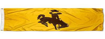 Wyoming Cowboys 3' x 5' Flag