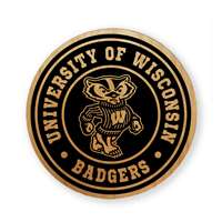 Wisconsin Badgers Alderwood Coasters - Set of 4