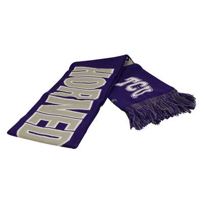 TCU Horned Frogs Top of the World Polar Scarf