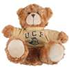 Central Florida Knights Stuffed Bear