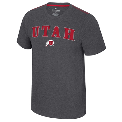 Utah Utes Colosseum Carmy T-Shirt - Charcoal