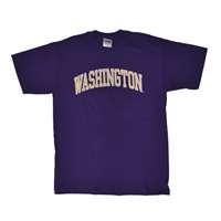 Washington T-shirt - Arch Washington - Purple