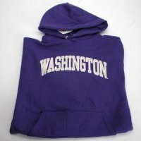 Washington Hooded Sweatshirt - Arch Washington - Purple