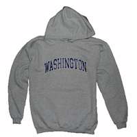 Washington Hooded Sweatshirt - Arch Washington - Heather Grey