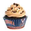 Virginia Cavaliers Cupcake Liners - 36 Pack
