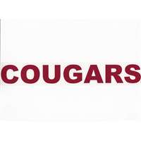 Washington State Cougars Metallic Transfer Decal