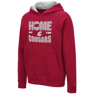 Washington State Cougars Youth Colosseum Pesto Pullover Hoodie