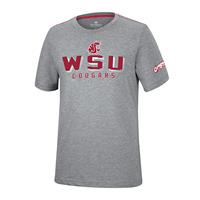 Washington State Cougars Colosseum Which Is Nice T-Shirt