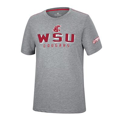 Washington State Cougars Colosseum Which Is Nice T-Shirt