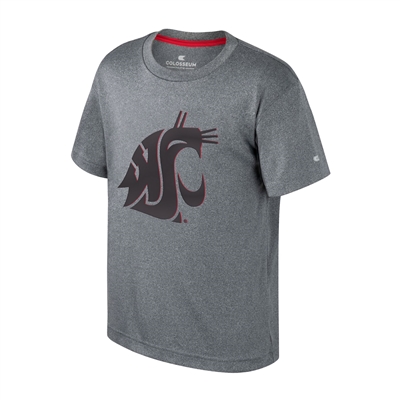 Washington State Cougars Youth Colosseum Very Metal T-Shirt