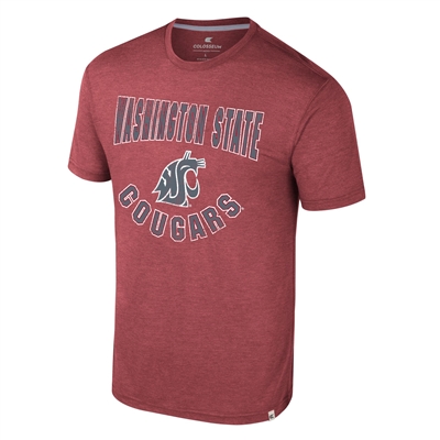 Washington State Cougars Colosseum Virtual Reality