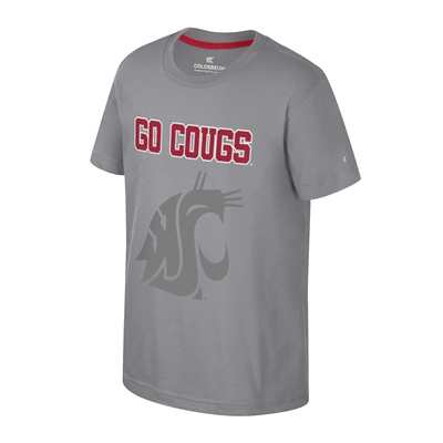 Washington State Cougars Colosseum Youth Boys Wint