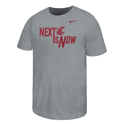 Nike Washington State Cougars Youth Core T-Shirt -