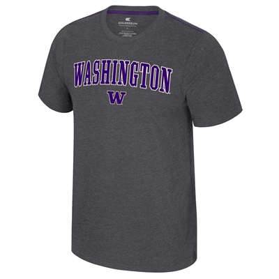 Washington Huskies Colosseum Carmy T-Shirt - Charc