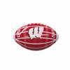Wisconsin Badgers Glossy Field Mini Football
