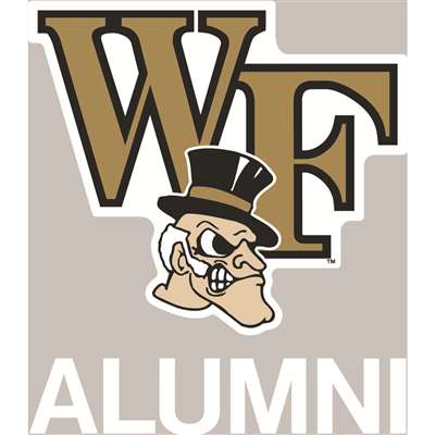 Vintage 1970’s Wake Forest Demon Deacons Iron On Transfer 