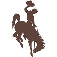 Wyoming Cowboys Die-Cut Transfer Decal