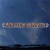 Wyoming Cowboys Automotive Transfer Decal Strip